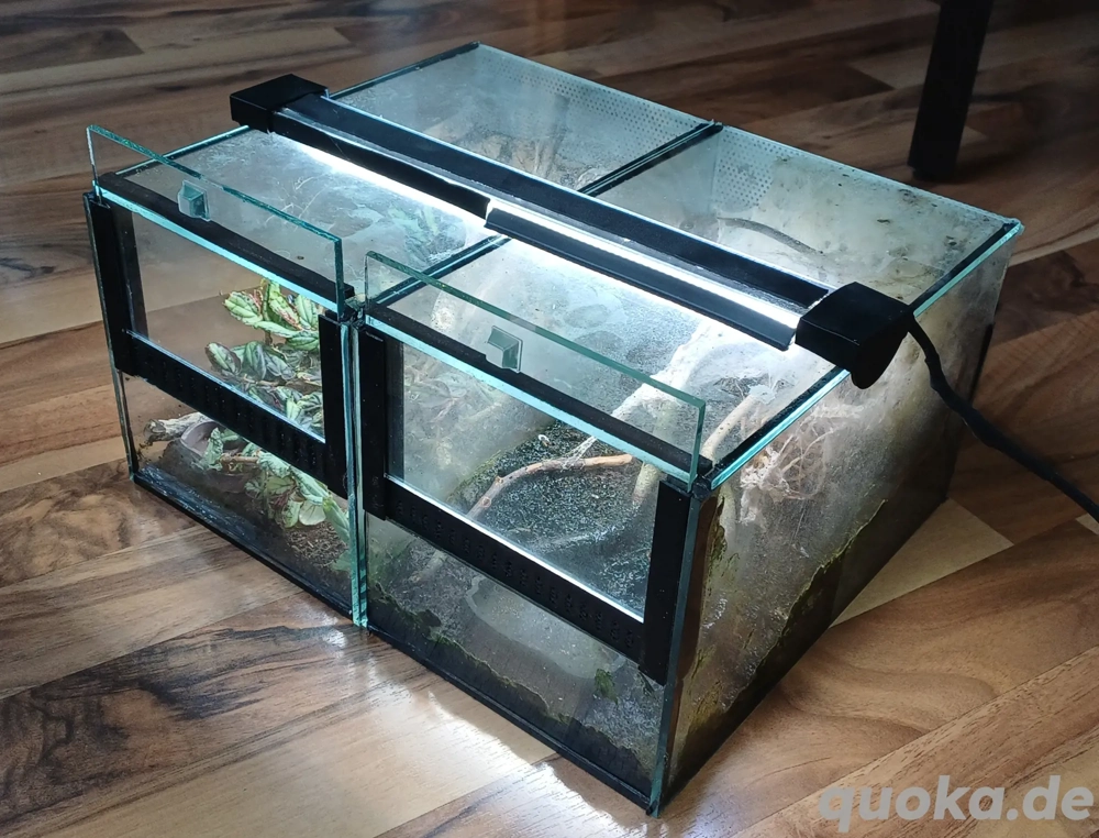 Mini-Terrarium 2er Set 15(B)x15(H) 25(T)