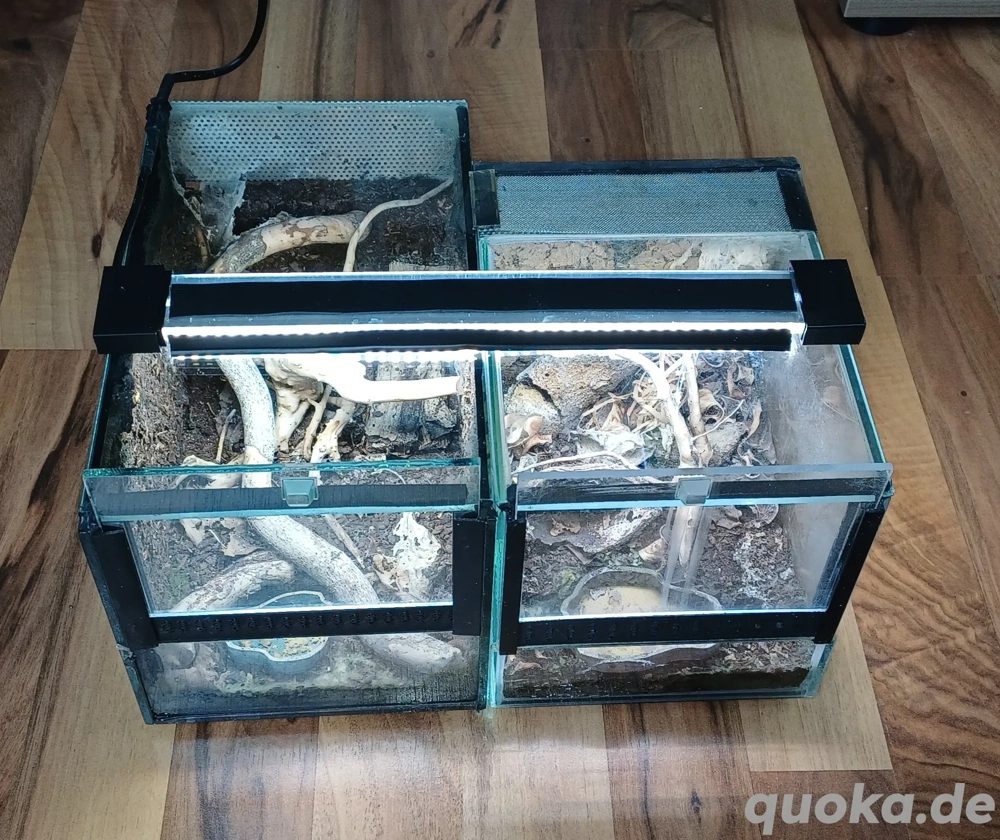 Mini-Terrarien-Set 15x15x25 & 15x15x20