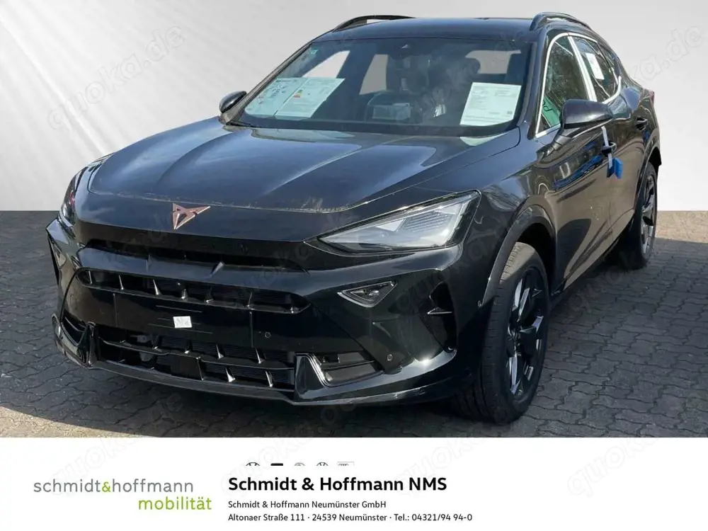 CUPRA Formentor 2.0 TDI DSG AHK Winter-Paket Intelligent-Drive