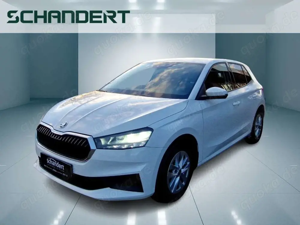 Skoda Fabia 1.0 MPI Active LED Klima Sitzheizung DAB PDC