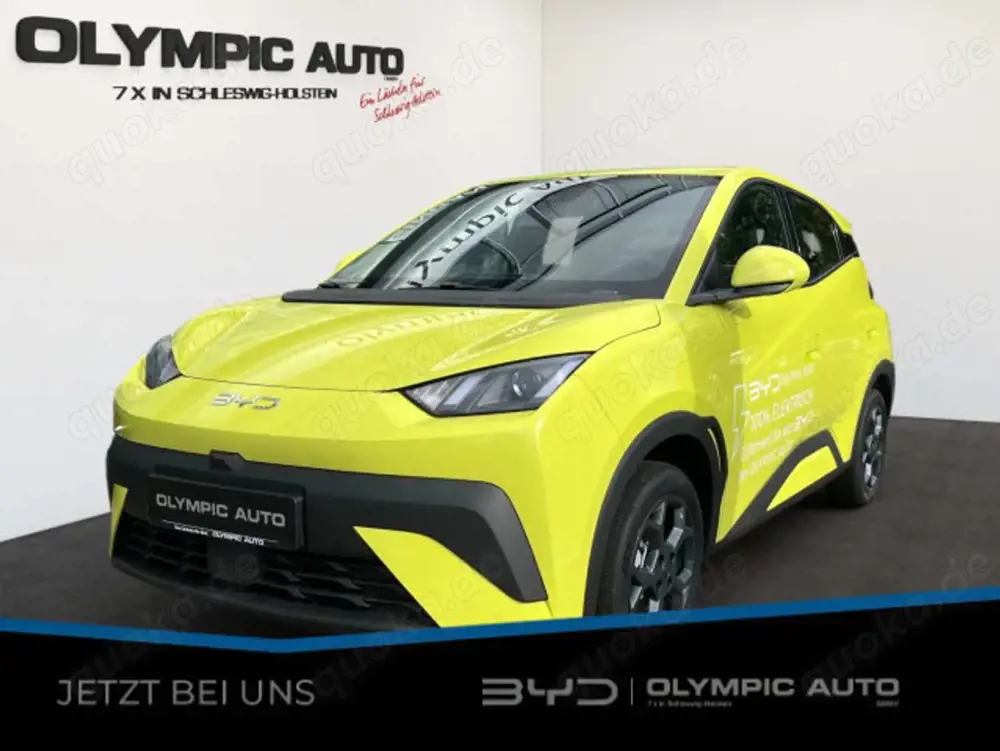 BYD Dolphin Dolphin Surf Boost 43kWh KAMERA CARPLAY NAVI ALU