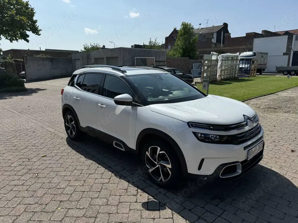 Citroen C5 Aircross 2.0 bluehdi Shine ss 180cv eat8 my20