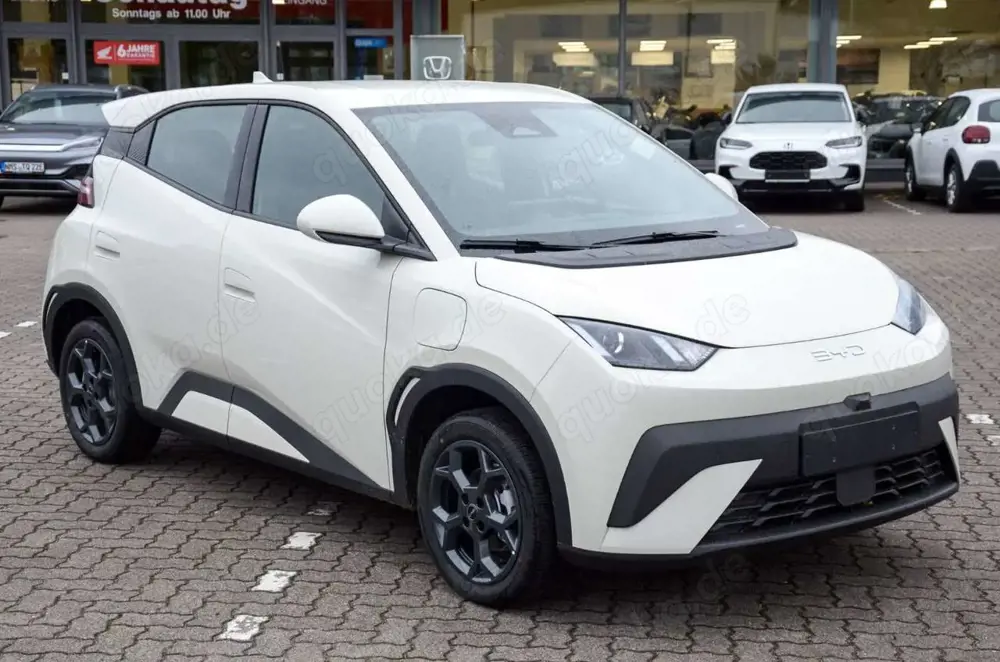 BYD Dolphin Dolphin Surf Comfort FÖRDERFÄHIG!