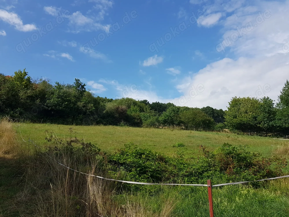 860 m Hanggrundstück in der Rhön ruhig, sonnig, voll erschlossen 165.000 VB