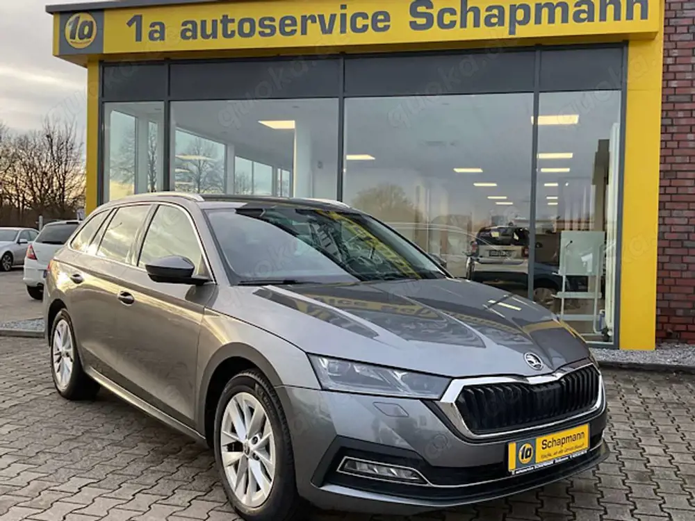 Skoda Octavia Octavia Combi 2.0 DI DSG Style Memory*Kessy*Totw