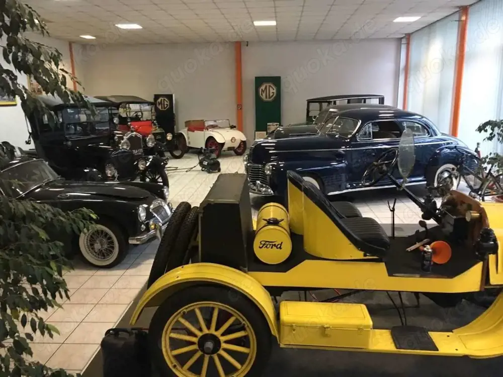 MG TF 1955  kürzlich restauriert racing green 12Vol