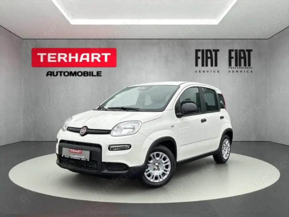 Fiat Panda 1.0 Mild Hybrid/PDC/StartStopp/Nebelscheinwerfer