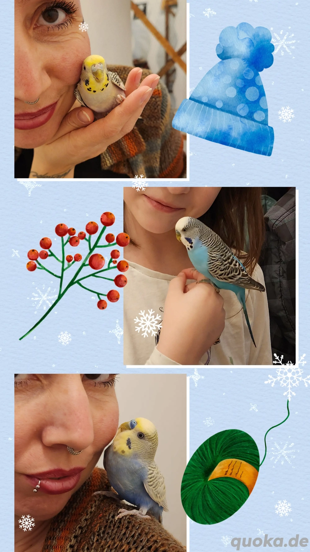 Wellensittiche alle Handzahm und kinderlieb 