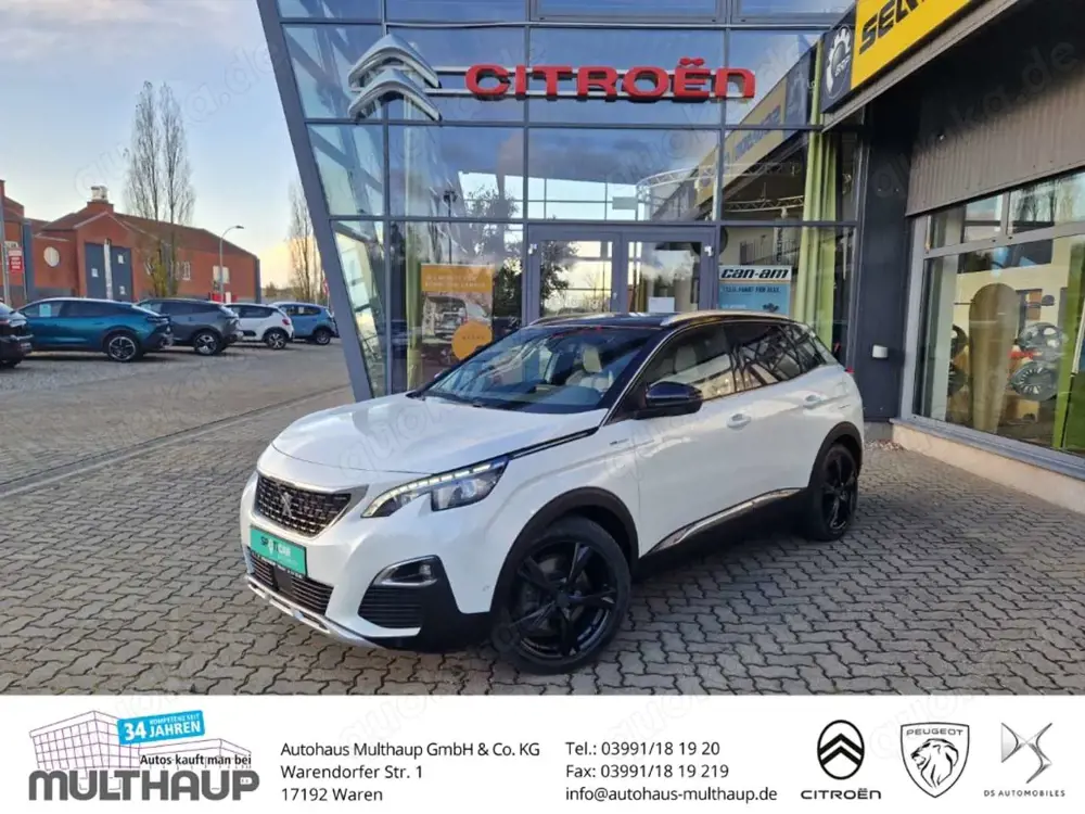 Peugeot 3008 GT Hybrid4 300 LED StandHZG SHZ 360 Kamera