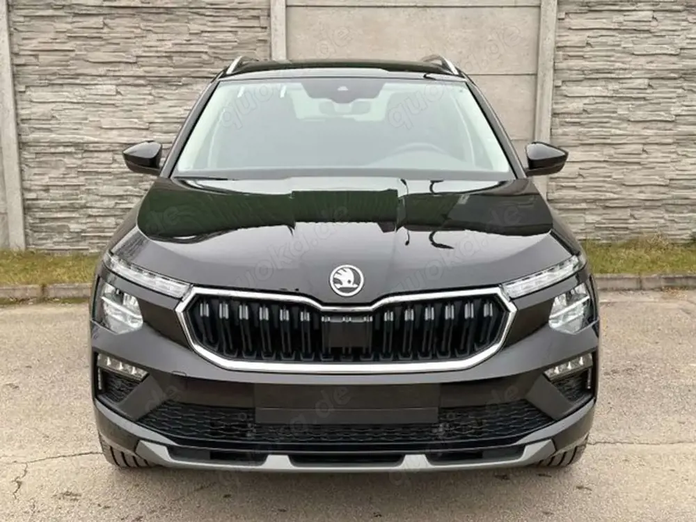Skoda Kamiq 1.5 TSI ACT DSG Selection Navi AHK PDC LED