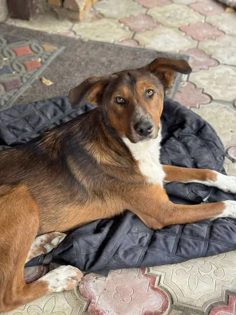 Hübsche Ela - freundlich und ausgeglichen