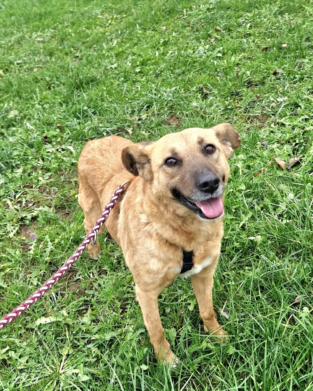 Luisa, 4 Jahre, 50-55 cm, lieb, 