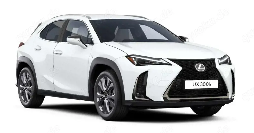 Lexus UX 300h F Sport Design Klima Kamera Sitzhzg