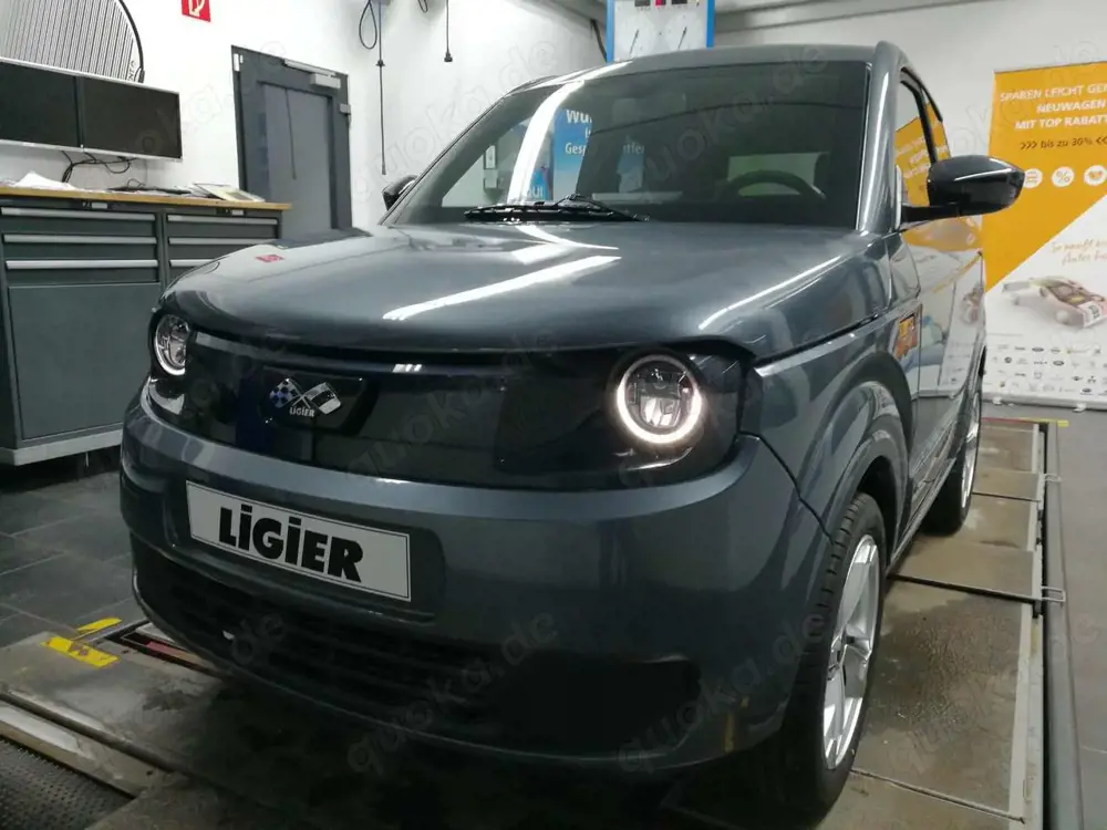 Ligier Myli E.PIC*WSShzg*Carplay*Shzg*el.Fh*RFK*LED*ZV*