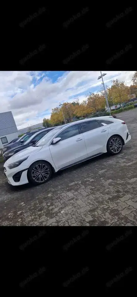 Kia ProCeed / pro_cee'd ProCeed 1.5 T-GDI DCT7 OPF GT LINE