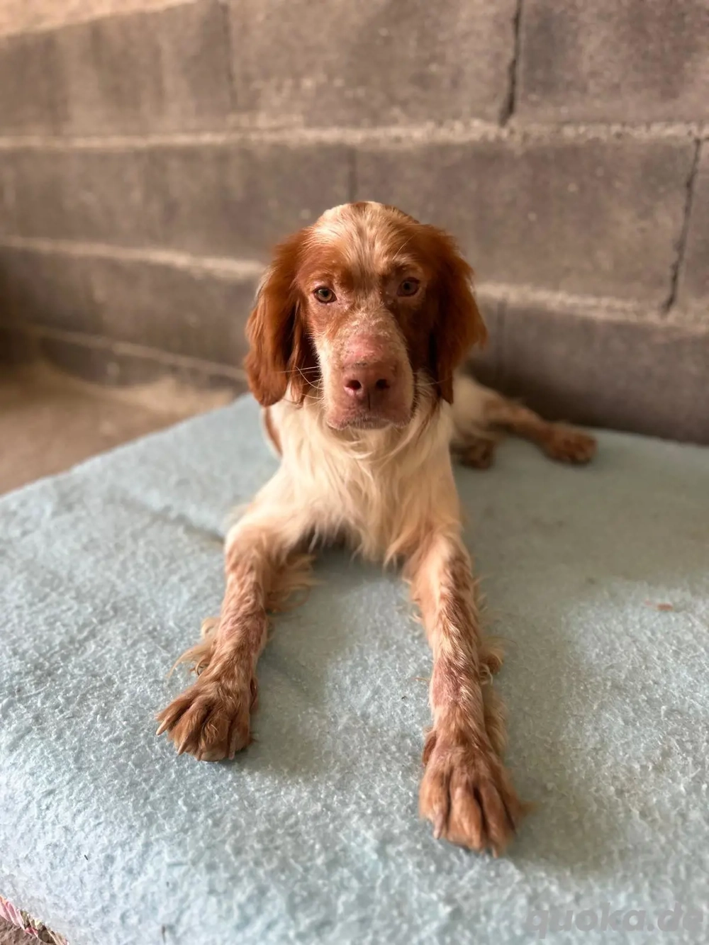 Louise, ca. 2 Jahre alt