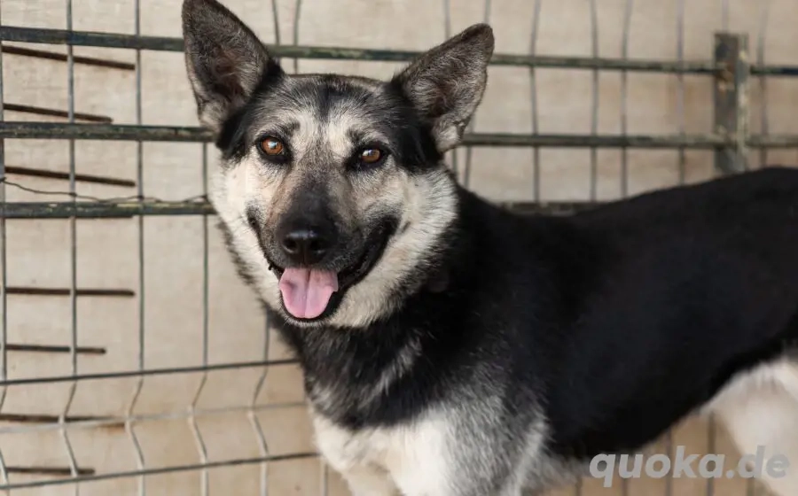 Dita sucht einfühlsame Menschen