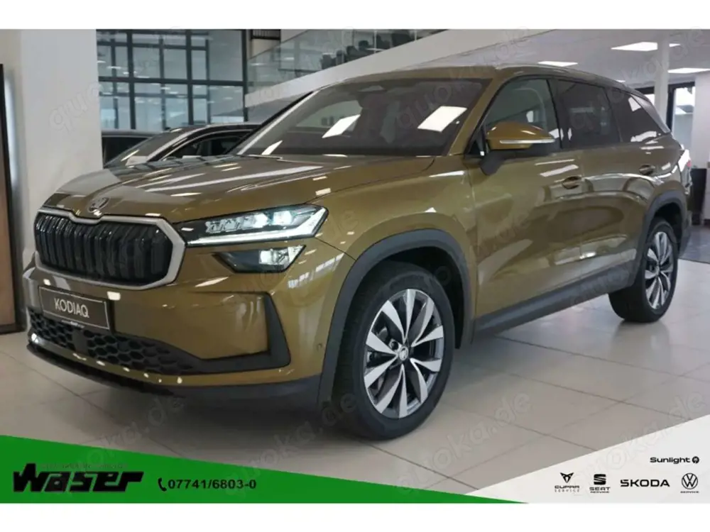 Skoda Kodiaq 2.0 TDI Selection 4x4 DSG AHK Matrix Kamera 19'' L