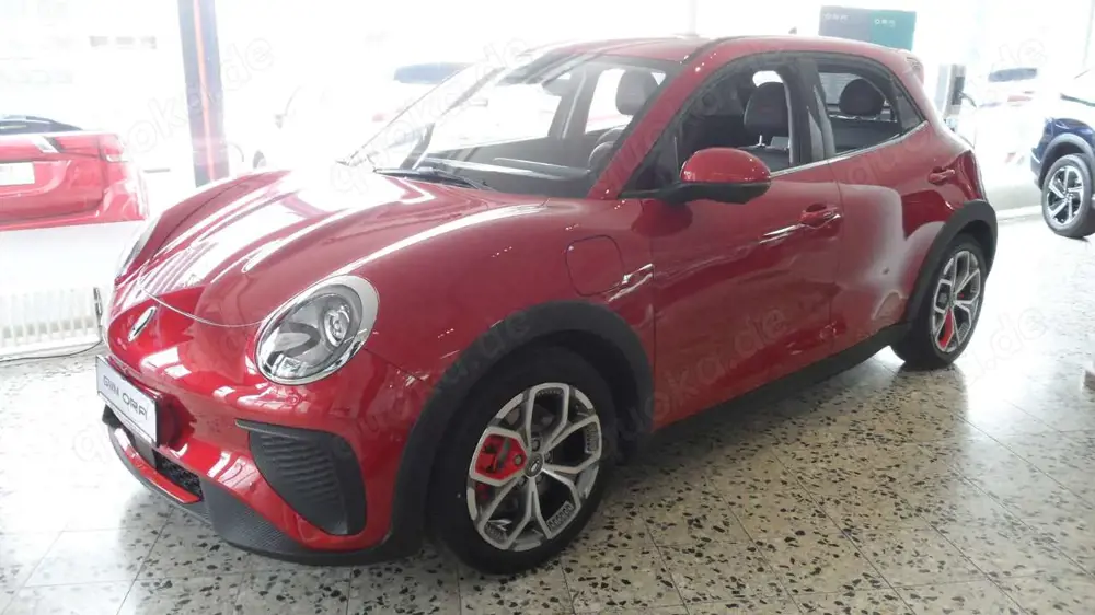 Ora Funky Cat Funky Cat GT