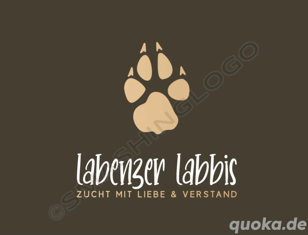 Wurfplanung 2026 - reinrassige Labrador Welpen 