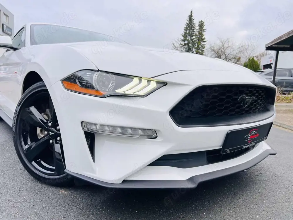 Ford Mustang / 2.3 EcoBoost /Coupe/Leder