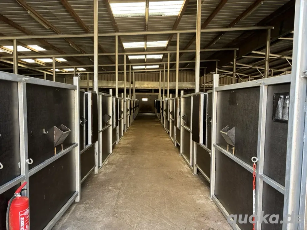 Biete Rentnerplätze für ihr Pferd