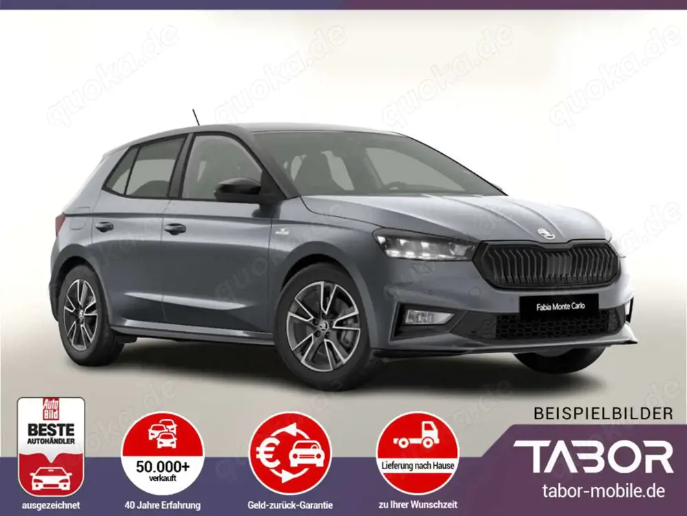 Skoda Fabia DSG MonteC ACC Kessy SHZ Kam SunS UVP-26%*