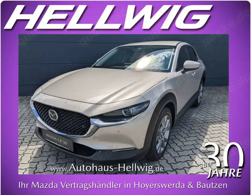 Mazda CX-30 2.5l (140PS) Centre-Line Design-Paket Matrix-LED