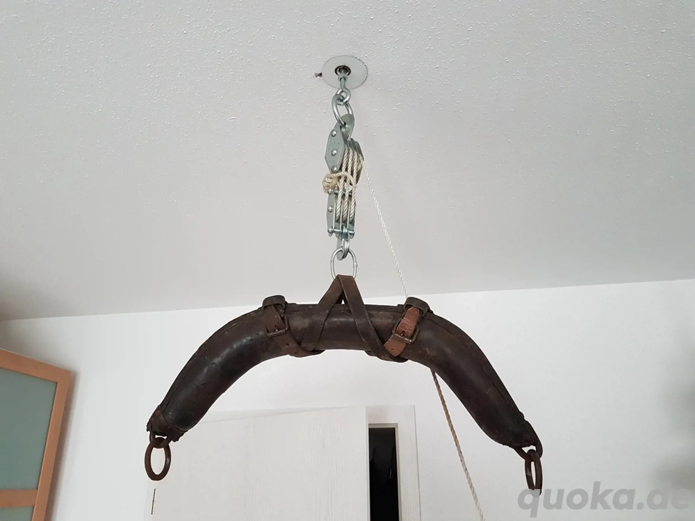 Dom bietet neugierigen W oder Paaren  Spanking, BDSM .......