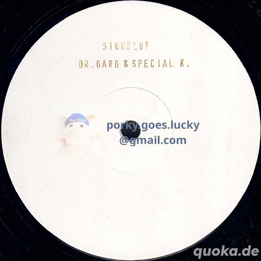 Dr. Garg & Special K. - Sinkflut 2004 White Label Stamped 12" Vinyl Acid, Minimal, Tech House