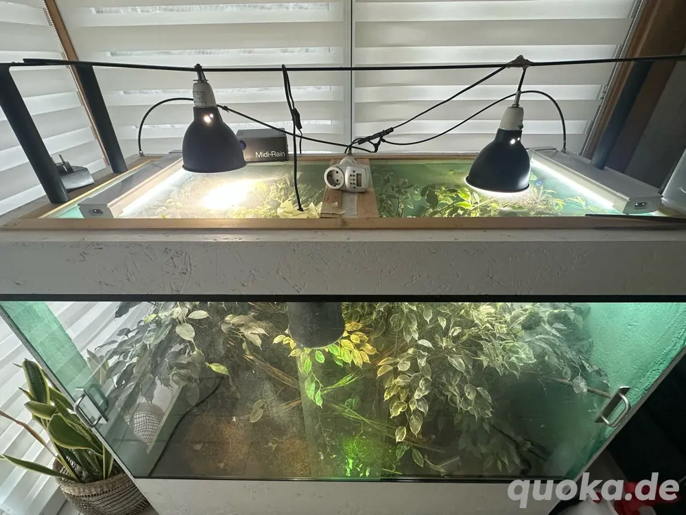XXL Terrarium mit viel Zubehör