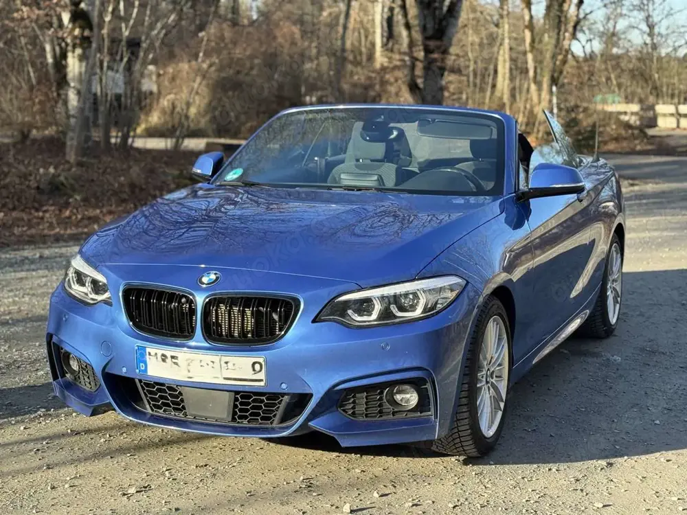 BMW 218 218d Cabrio Aut. M Sport, Cam, 18"