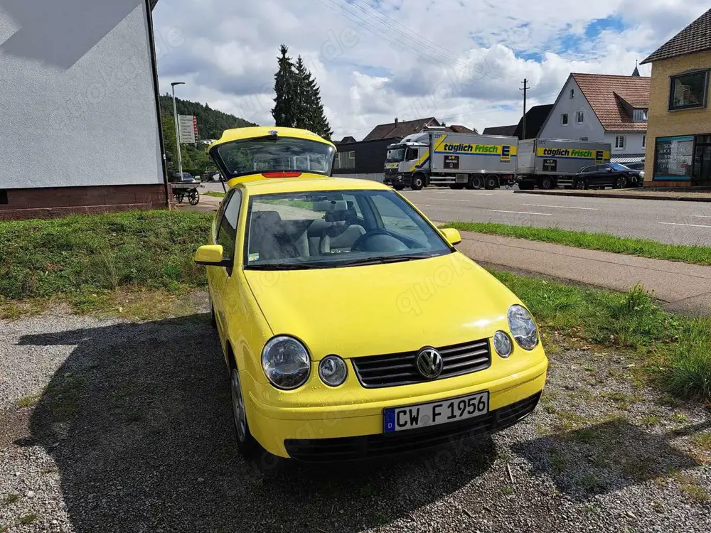 Volkswagen Polo Edition