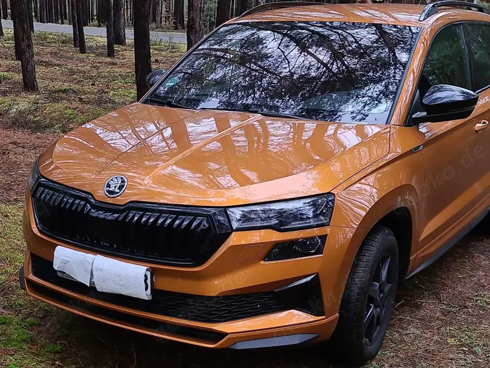 Skoda Karoq Karoq 2.0 TDI SCR 4x4 DSG Sportline