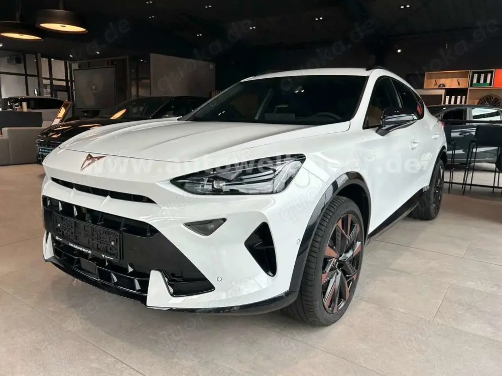CUPRA Formentor VZ 2.0 TSI 265PS DSG *AHK*CAM*NAV*
