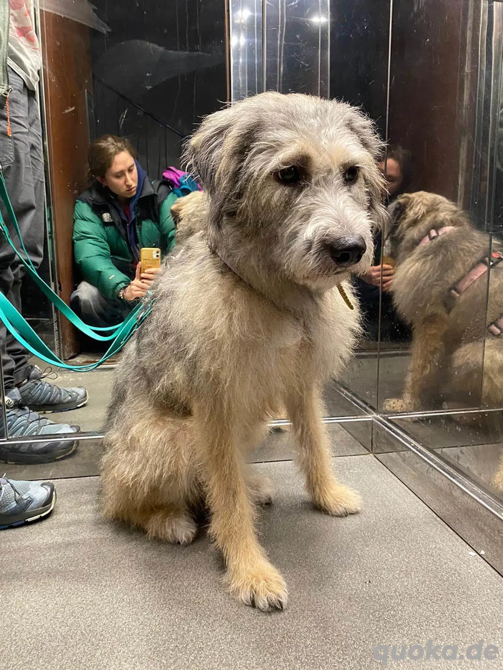 Süße Titza sucht ihr eigenes Körbchen