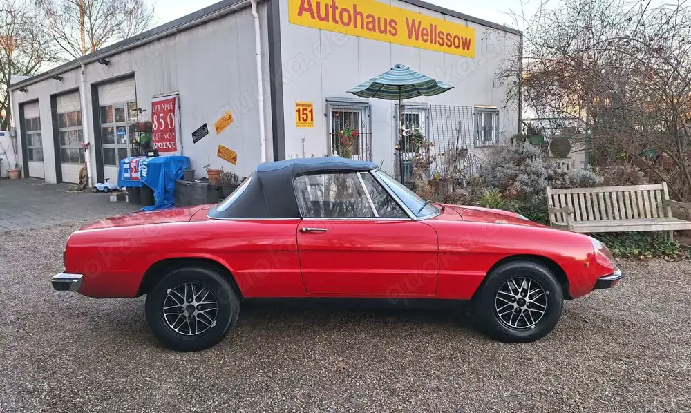 Alfa Romeo Junior Spider Junior 1.3 H-Kennzeichen