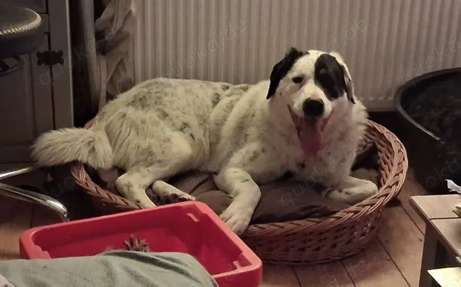 Schreibst du mit an Fleckis Happy End?