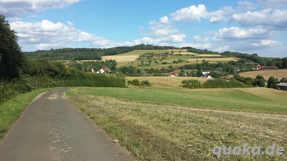 Höringen - versch.Grundstücke  -verschiedene Verw.- Streuostanlage bzw.Tierhaltung -Trainingsplatz
