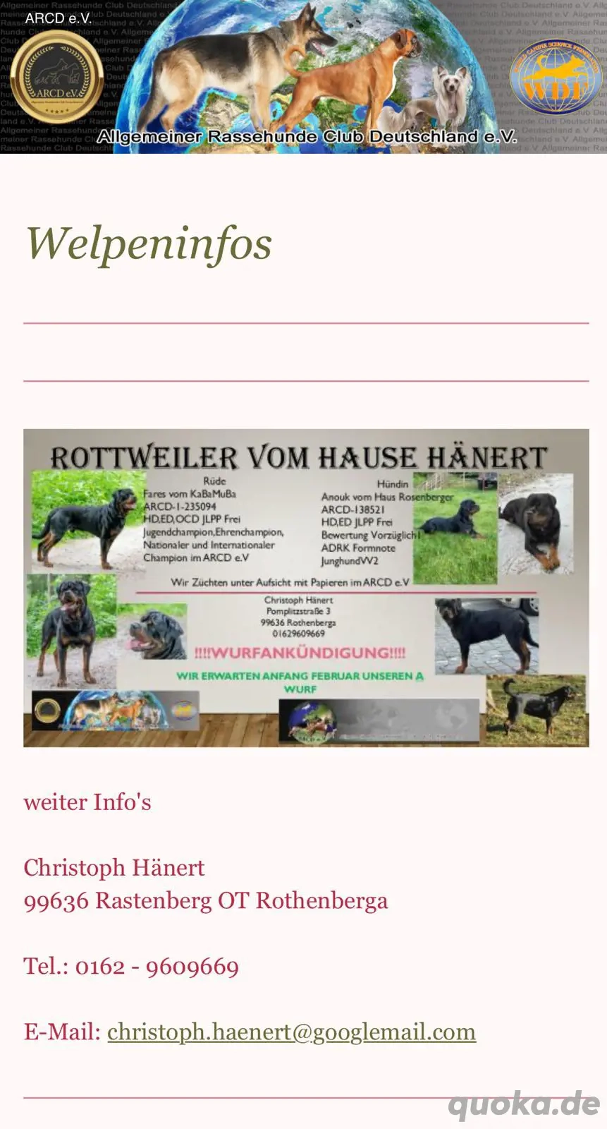 Rottweiler Rottweilerwelpen Wurfankündigung ARCD,e-V