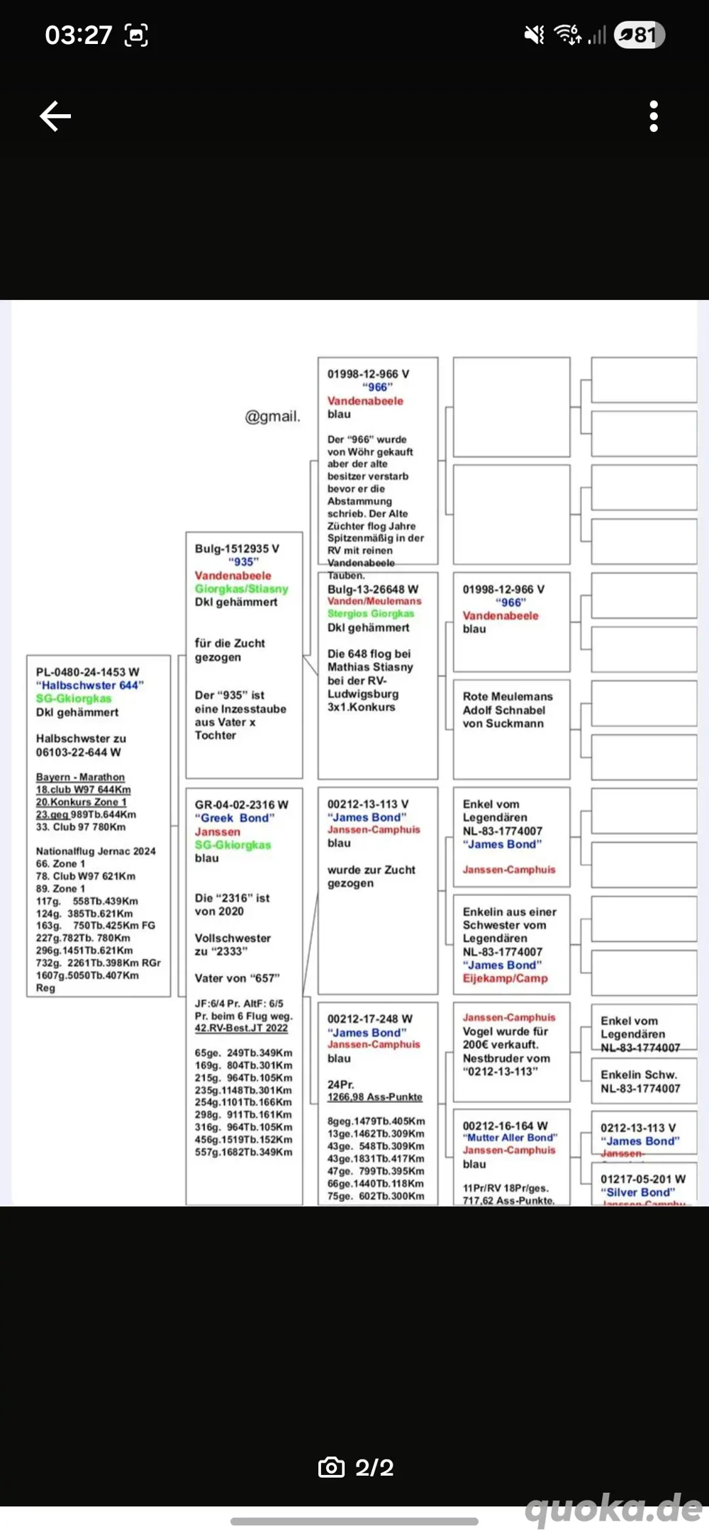 Vandenabeele x Janssen 