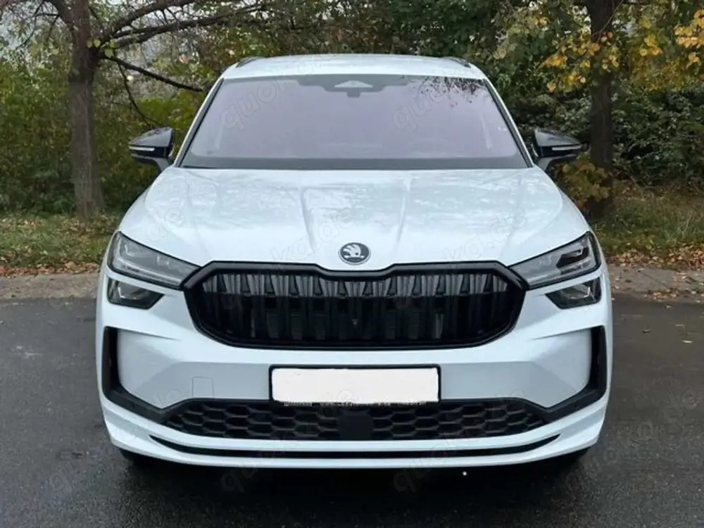 Skoda Kodiaq Sportline 2.0 TDI 142 kW DSG 4x4  AHK 20"
