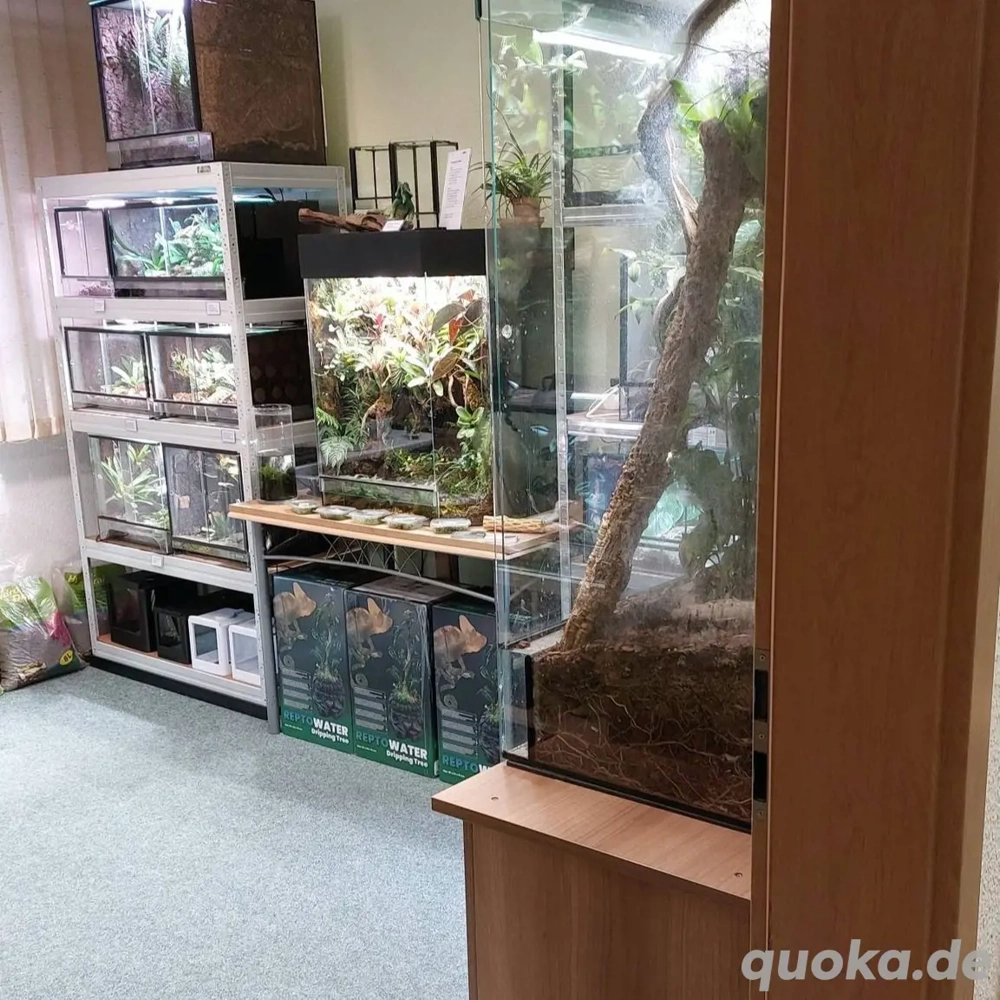 Terrarien, Flaschengärten - Zimmerpflanzen - Dekoration - Technik - Aquaristikzubehör 