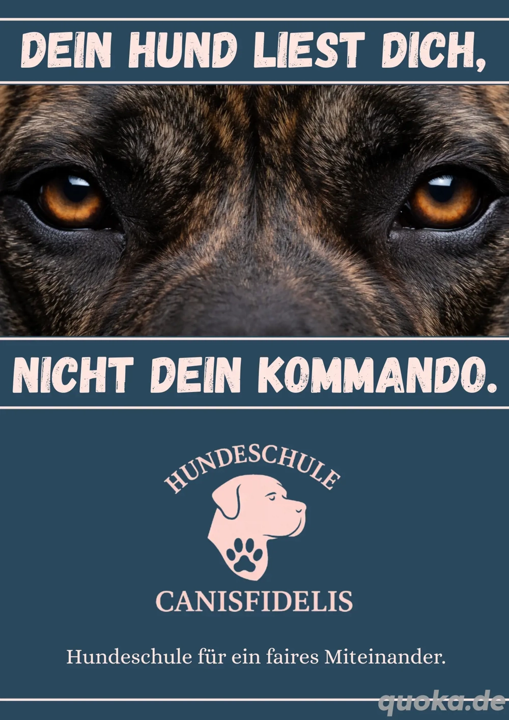 Hundeschule   Hundetraining