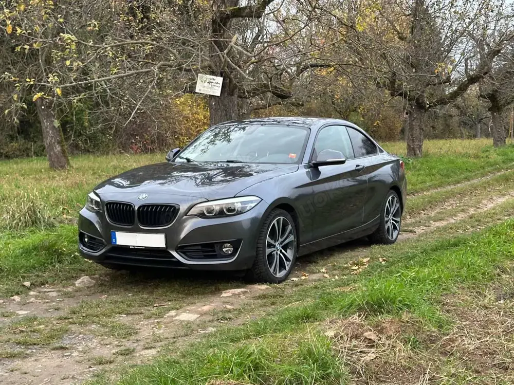 BMW 218 218i Coupé Sport Line, Kamera, LED, Navi Prof