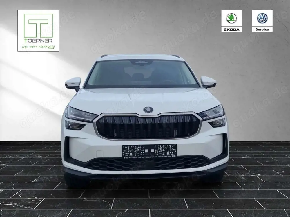 Skoda Kodiaq Selection 2,0 TDI 4x4 AHK LichtSicht 19"