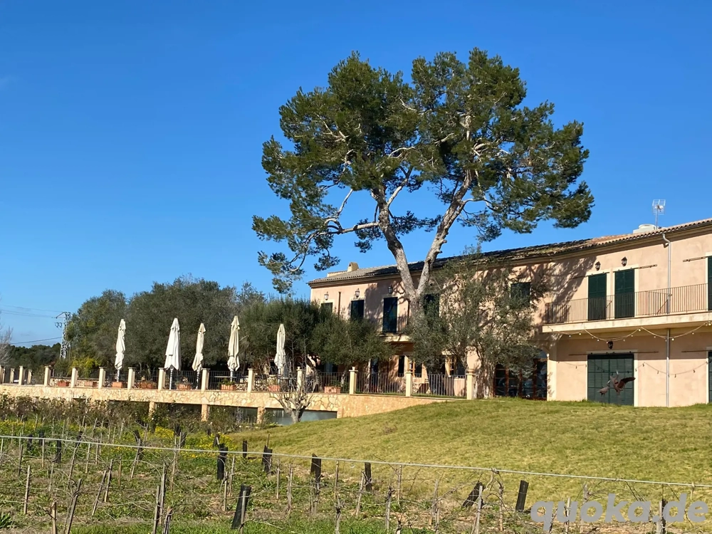 Mentoring & Retreat für pferdegestützte Coaches   Mallorca 2026