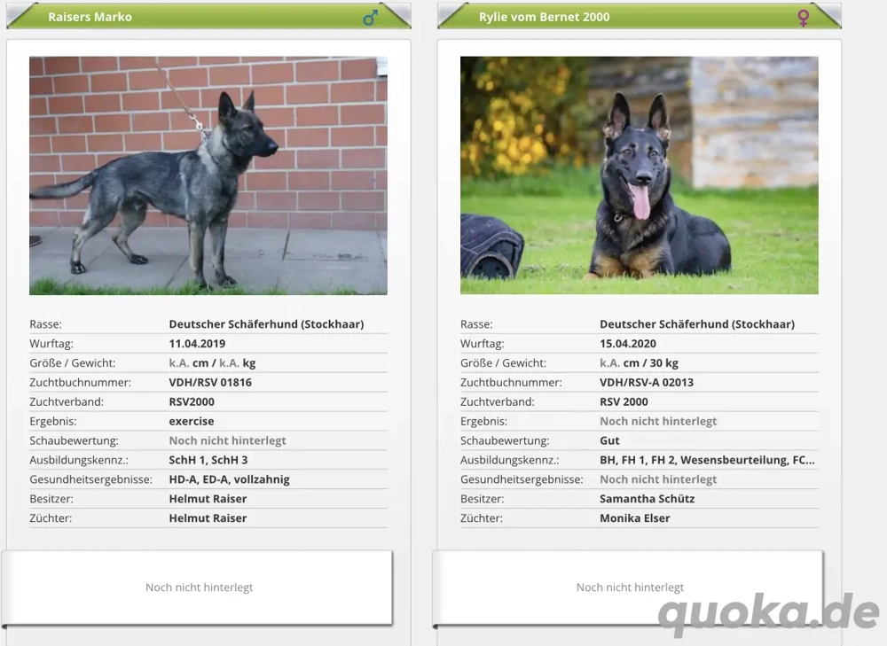 Deutsche Schäferhundwelpen