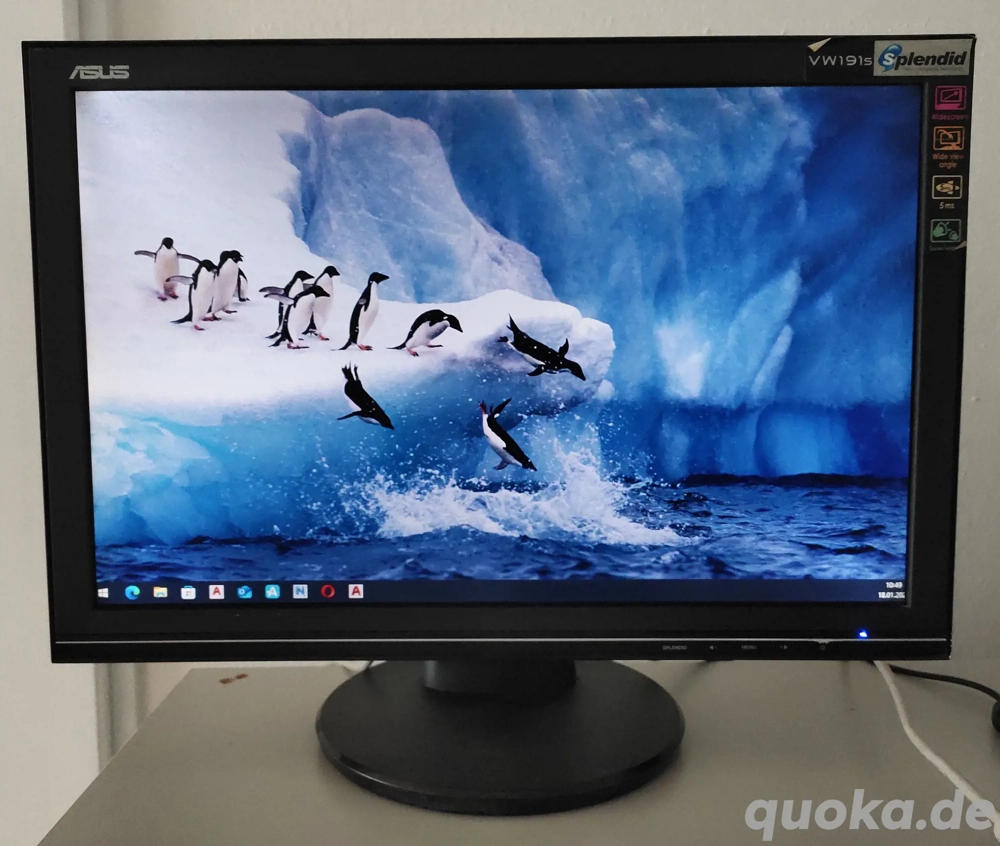 Monitor Asus 19 zoll