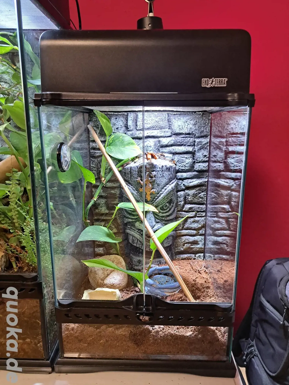 Terrarium Exo Terra